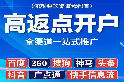 SEM托管公司案例分析：实战技巧全解析