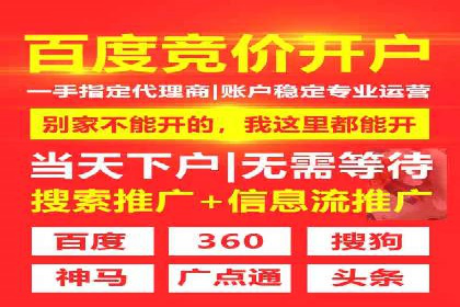 SEM竞价优化实战技巧：案例展示广告投放优化